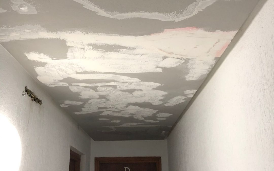 Pintado y Rehabilitación de pasillos comunes