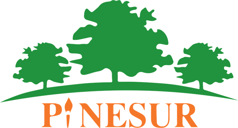 Pinesur
