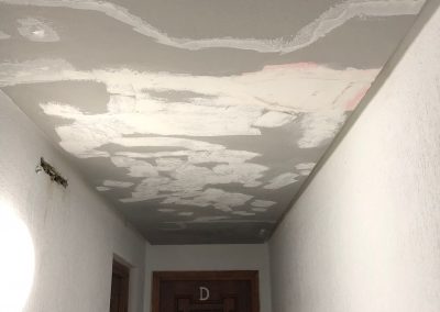 Pintado y Rehabilitación de pasillos comunes
